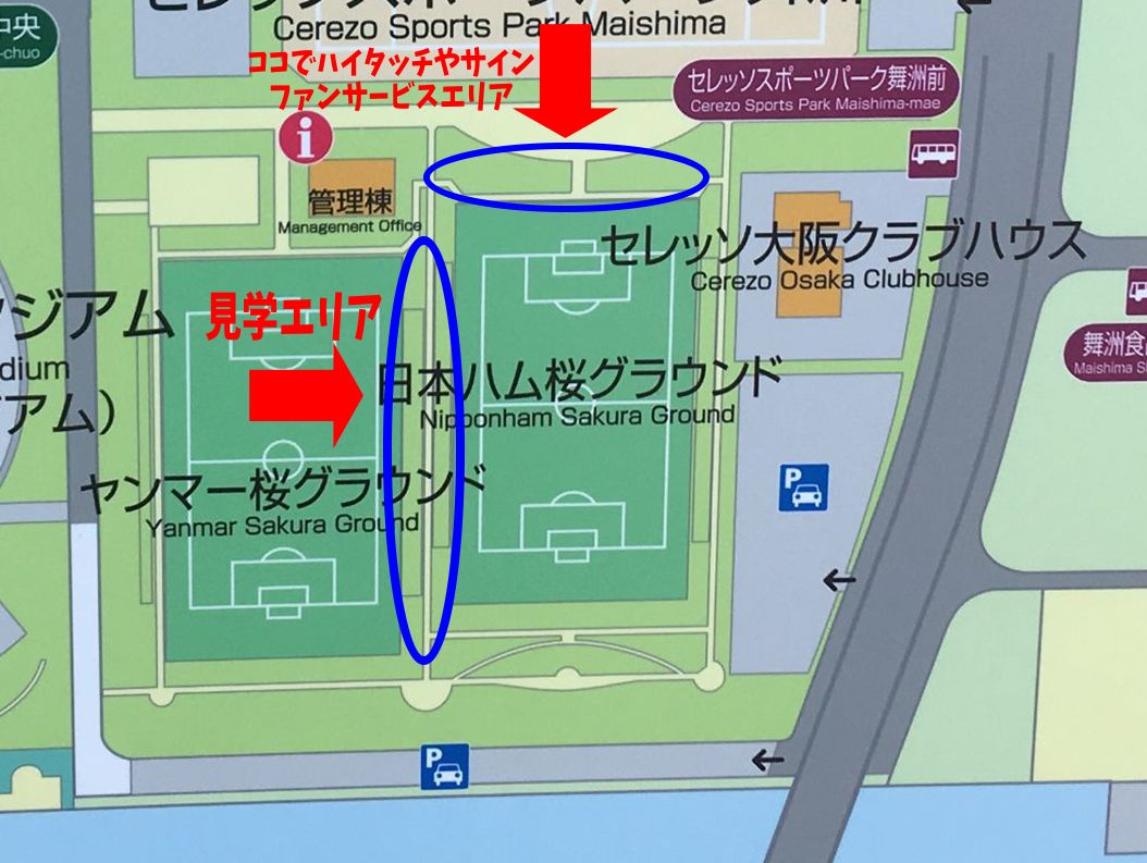 セレッソ大阪の練習を舞洲グラウンドに観に行きました シャインエステート