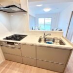 住之江パークマンション207　システムキッチン
