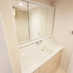 APAガーデンスプリングス鳳2-1008 洗面台